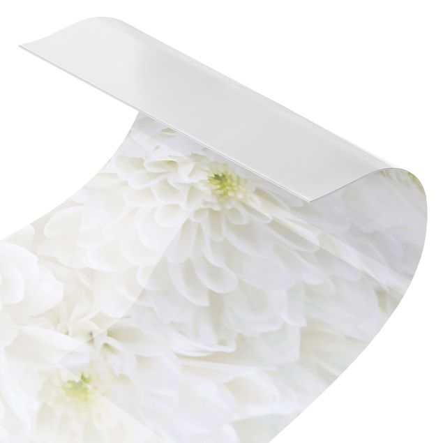 Spritzschutz Küche ohne bohren Dahlien Blumenmeer weiß