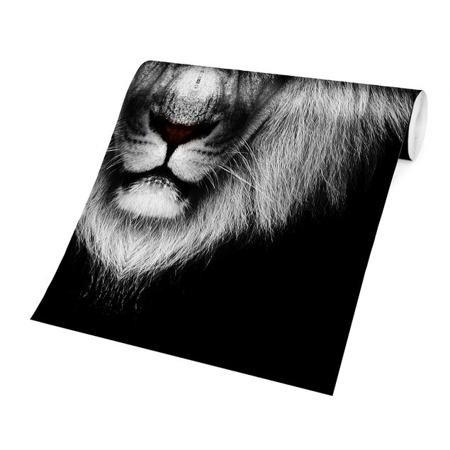 Fototapete - Dark Lion II