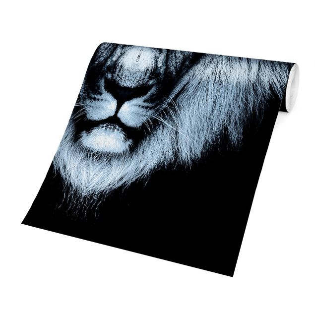 Fototapete - Dark Lion