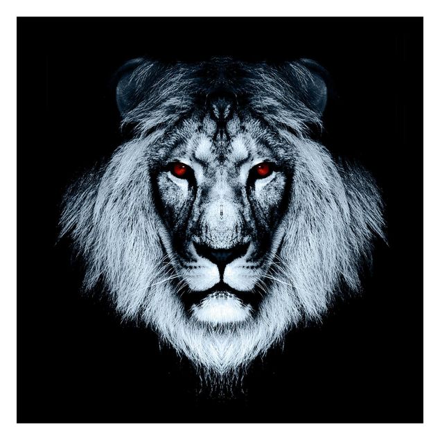 Fototapete - Dark Lion