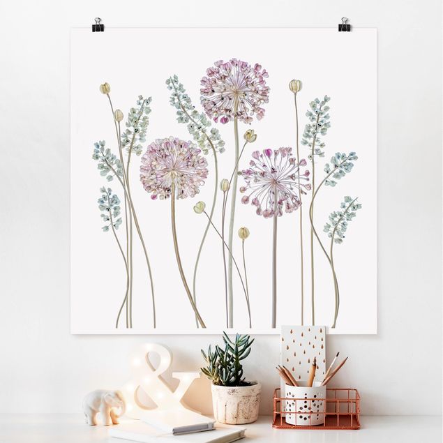 Poster Blumen Allium Illustration