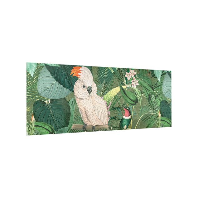 Spritzschutz Glas - Vintage Collage - Kakadu und Kolibri - Panorama - 5:2