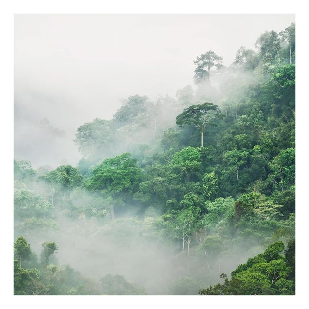 Spritzschutz Natur Dschungel im Nebel