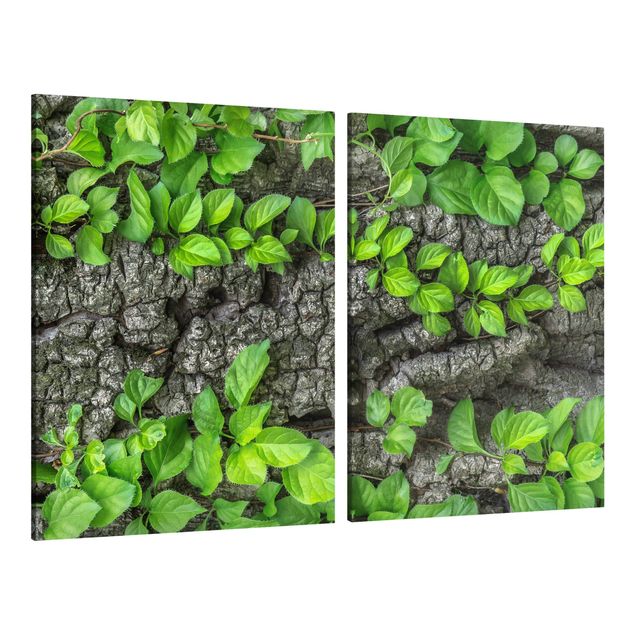 Wandbilder Efeuranken Baumrinde