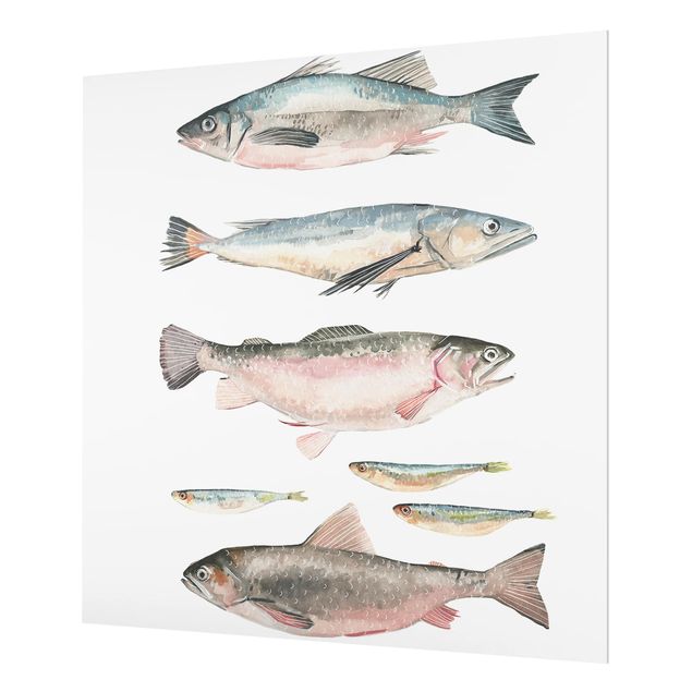 Glas Spritzschutz - Sieben Fische in Aquarell I - Quadrat - 1:1