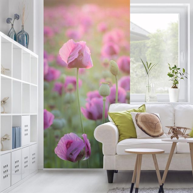 Raumteiler Violette Schlafmohn Blumenwiese im Frühling