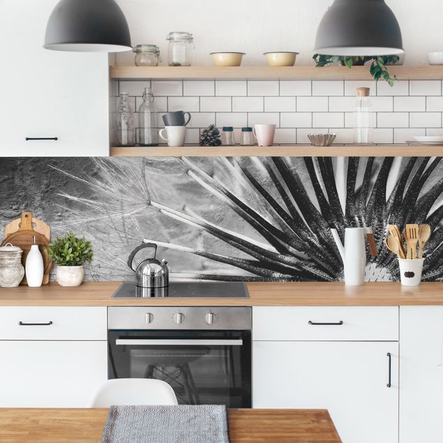 Wandpaneele Küche Pusteblume Schwarz & Weiß