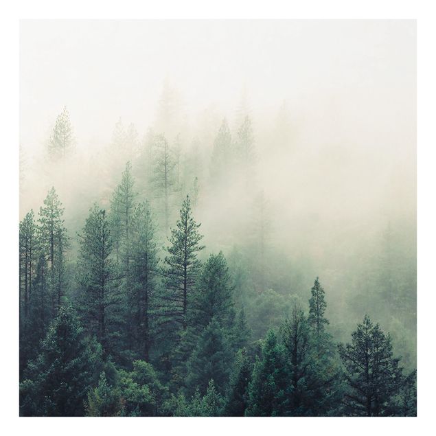 Spritzschutz Natur Wald im Nebel Erwachen