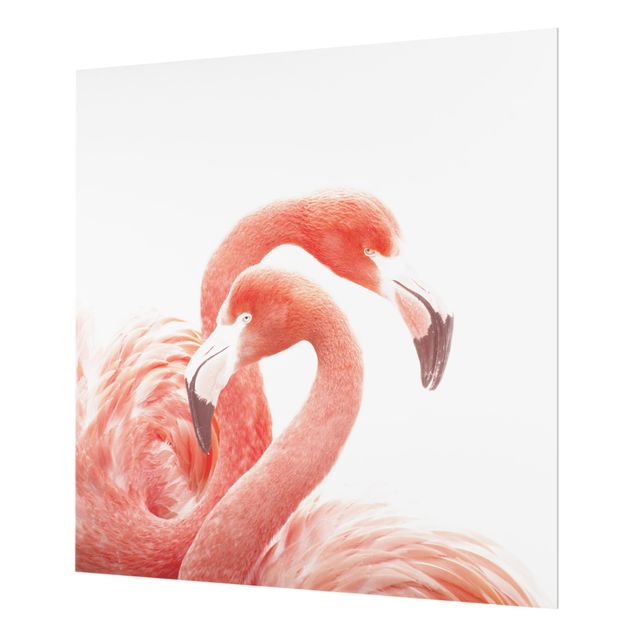 Spritzschutz Glas - Zwei Flamingos - Quadrat 1:1