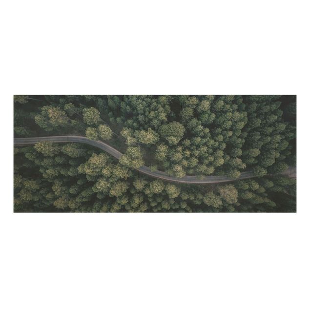 Wandbild Holz Luftbild - Waldstraße von Oben