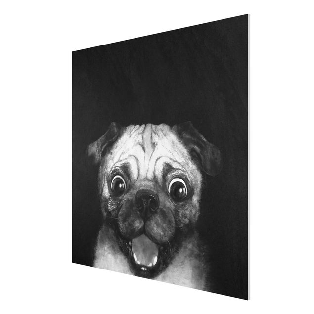 Forex Bilder Illustration Hund Mops Malerei auf Schwarz Weiß