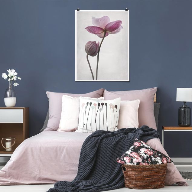 Poster mit Blumen Anemonen in rosa