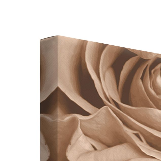 Leinwandbild 5-teilig - Vintage Rosen