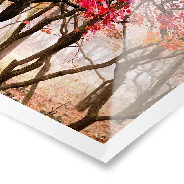 Poster - Japan im Herbst - Quadrat 1:1