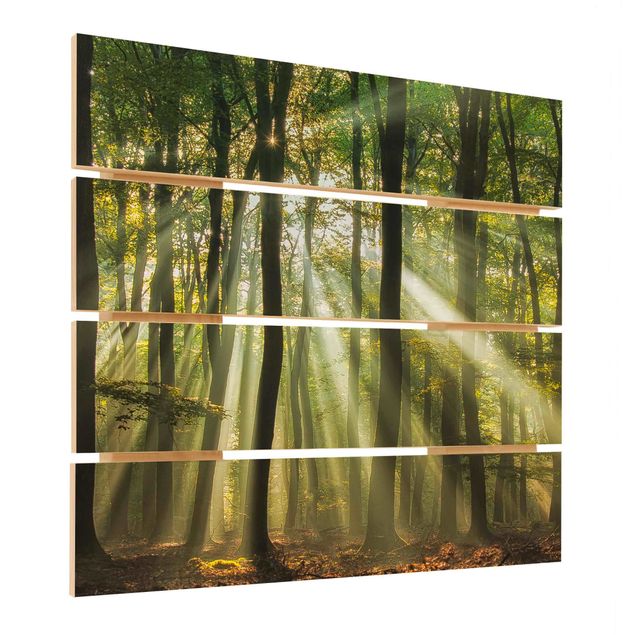 Holzbild - Sonnentag im Wald - Quadrat 1:1