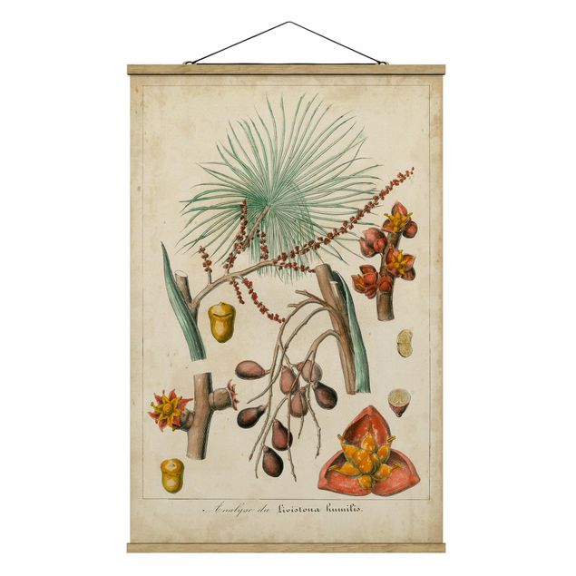 Stoffbild mit Posterleisten - Vintage Lehrtafel Exotische Palmen III - Hochformat 2:3