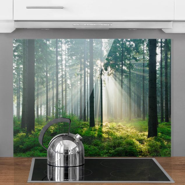 Glasrückwand Küche Wald Enlightened Forest