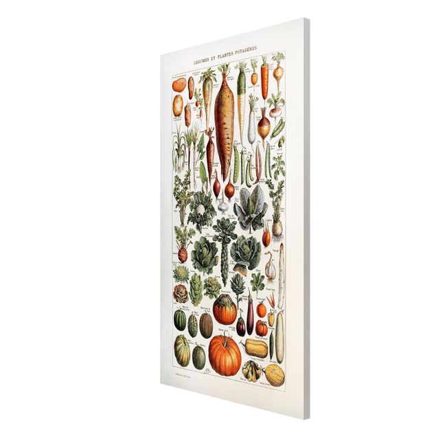 Magnettafel - Vintage Lehrtafel Gemüse - Memoboard Hochformat 4:3