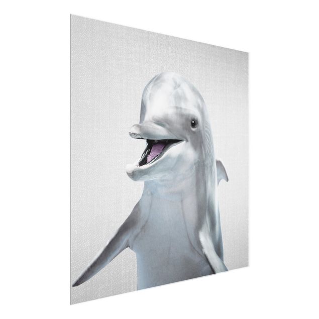 Glasbilder Delfin Diddi