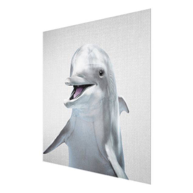 Glasbild - Delfin Diddi - Quadrat