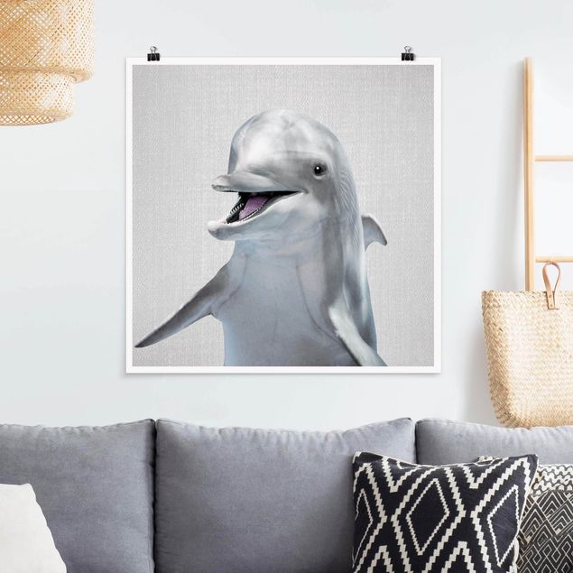 Poster Fische Delfin Diddi