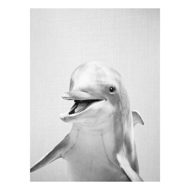 Glasbilder Delfin Diddi Schwarz Weiß