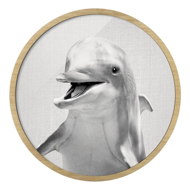 schöne Bilder Delfin Diddi Schwarz Weiß