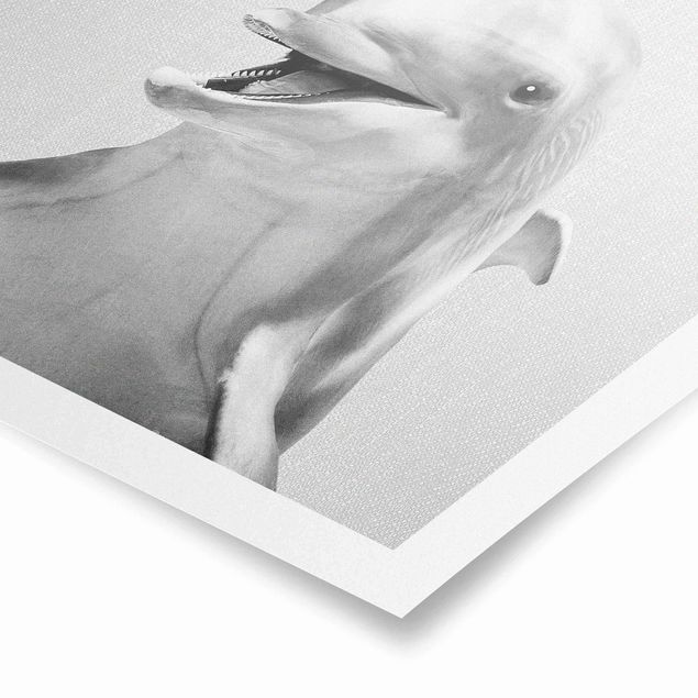 Wandbilder Delfin Diddi Schwarz Weiß