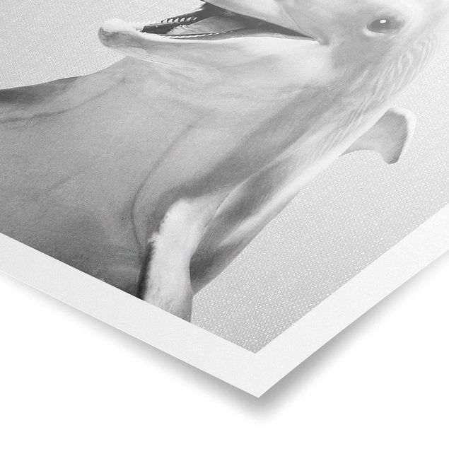 Wandbilder Delfin Diddi Schwarz Weiß
