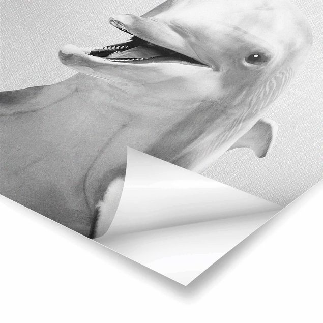 Poster - Delfin Diddi Schwarz Weiß - Quadrat 1:1