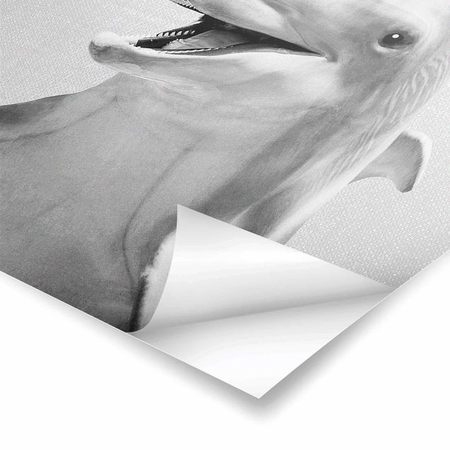 Poster - Delfin Diddi Schwarz Weiß - Hochformat 3:4