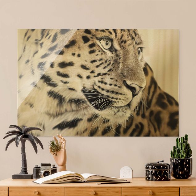 schöne Bilder Der Leopard