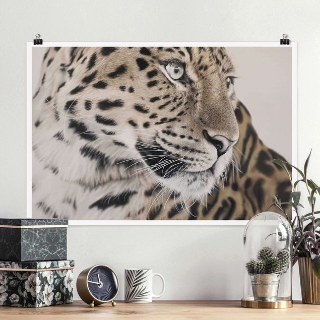 Poster Katzen Der Leopard