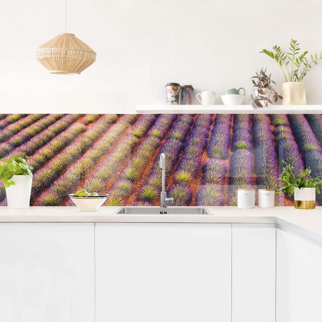 Küche Wandpaneel Malerisches Lavendelfeld
