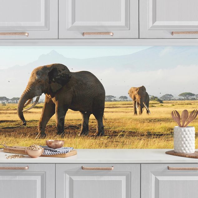 Platte Küchenrückwand Elefanten vor dem Kilimanjaro in Kenya