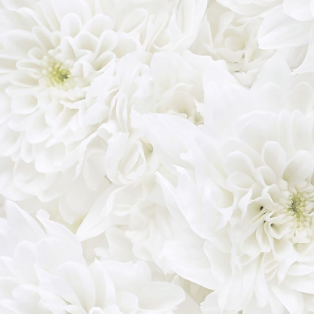 Klebefolie farbig Dahlien Blumenmeer weiß