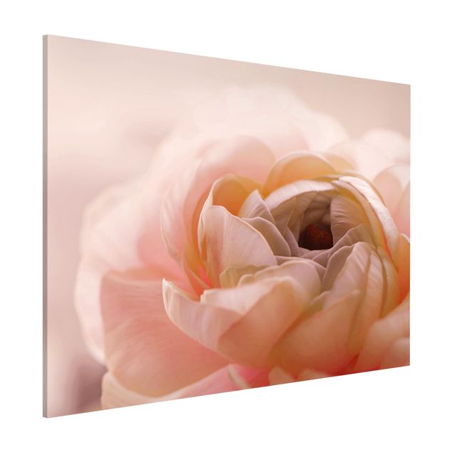 Magnettafel - Rosa Blüte im Fokus - Querfromat 4:3