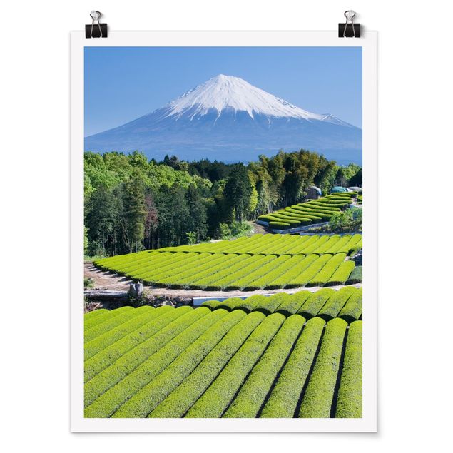 Poster Wald Teefelder vor dem Fuji