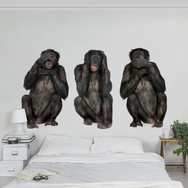 Fototapete - Die drei weisen Affen