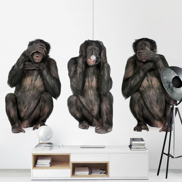 Fototapete - Die drei weisen Affen