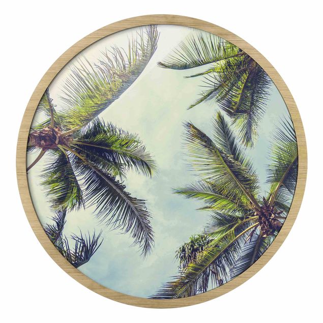 Bilder Die Palmen