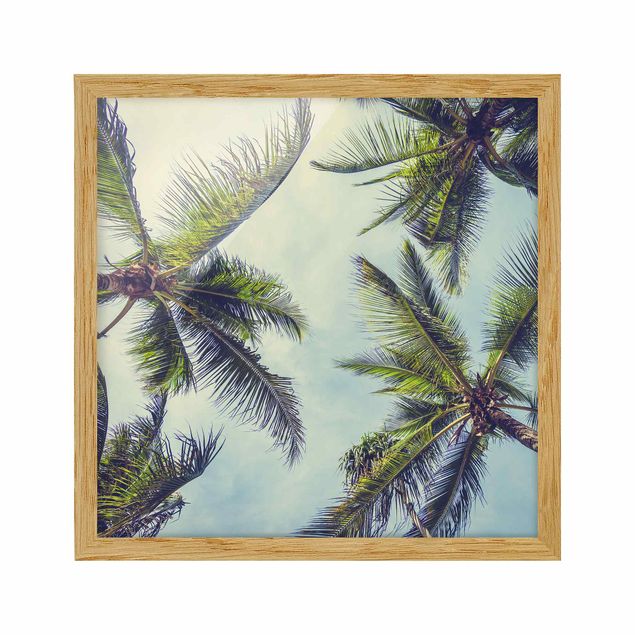 Bilder mit Rahmen Die Palmen