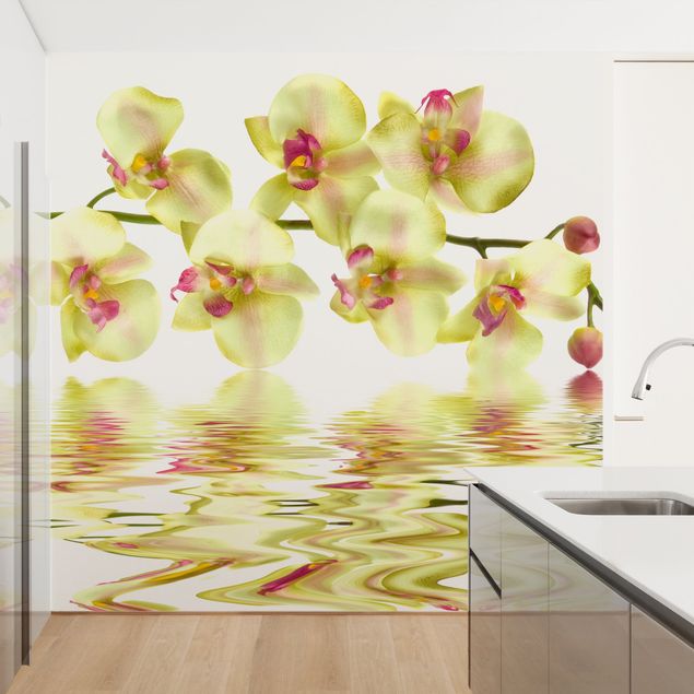Design Tapeten Dreamy Orchid Waters