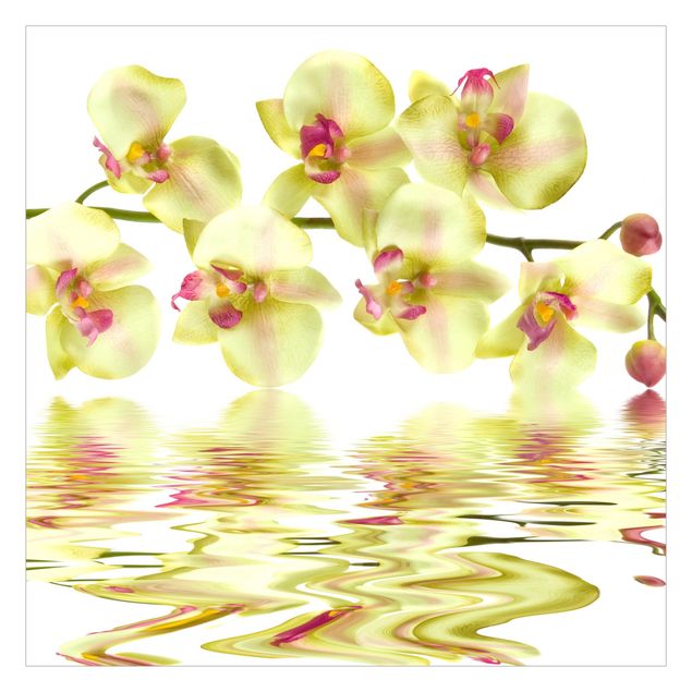 Fototapete selbstklebend Dreamy Orchid Waters