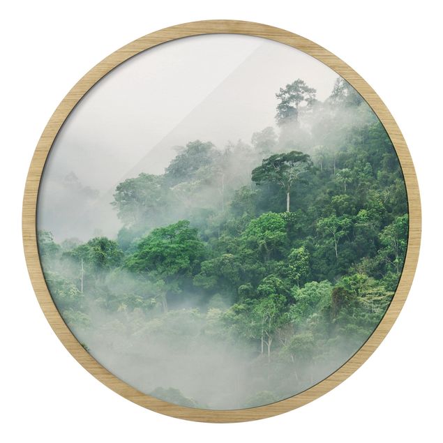 Bilder Dschungel im Nebel