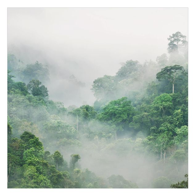 Fensterfolie - Sichtschutz - Dschungel im Nebel - Fensterbilder