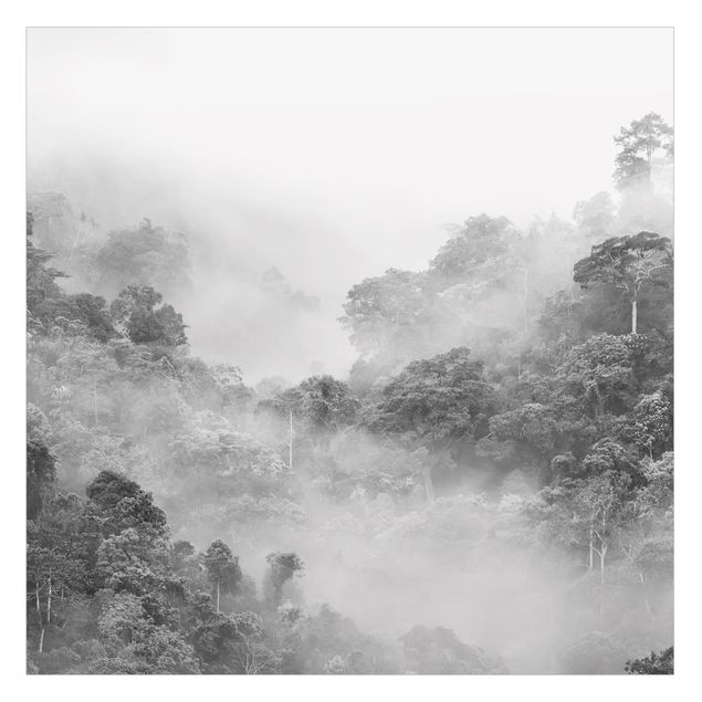 Fensterfolie - Sichtschutz - Dschungel im Nebel Schwarz-Weiß - Fensterbilder