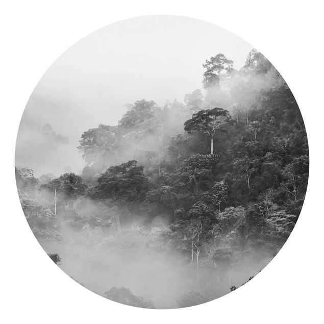 Tapete Natur Dschungel im Nebel Schwarz Weiß