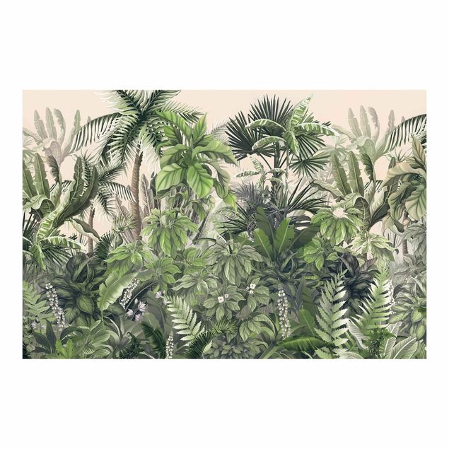 Tapete selbstklebend Dschungelpflanzen in Grün