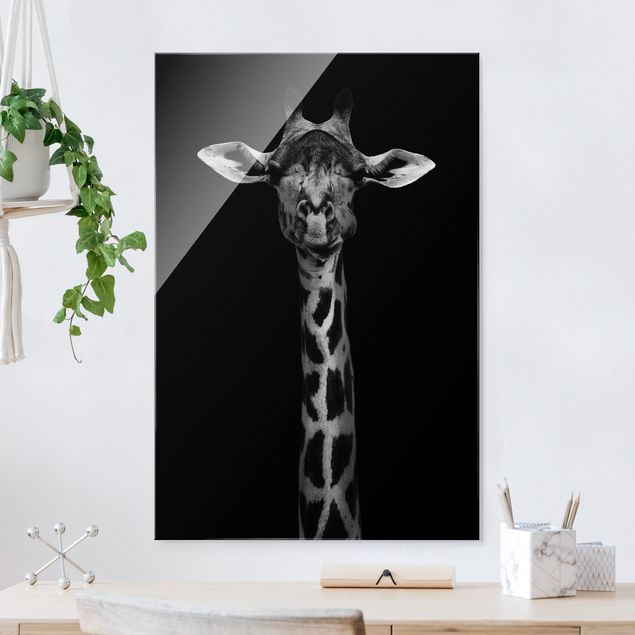 XXL Glasbilder Dunkles Giraffen Portrait